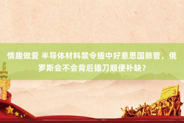 情趣做爱 半导体材料禁令插中好意思国肺管，俄罗斯会不会背后插刀顺便补缺？