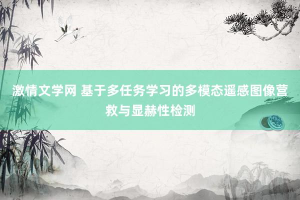 激情文学网 基于多任务学习的多模态遥感图像营救与显赫性检测
