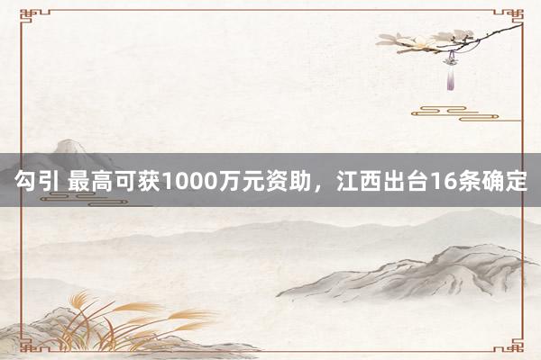 勾引 最高可获1000万元资助，江西出台16条确定
