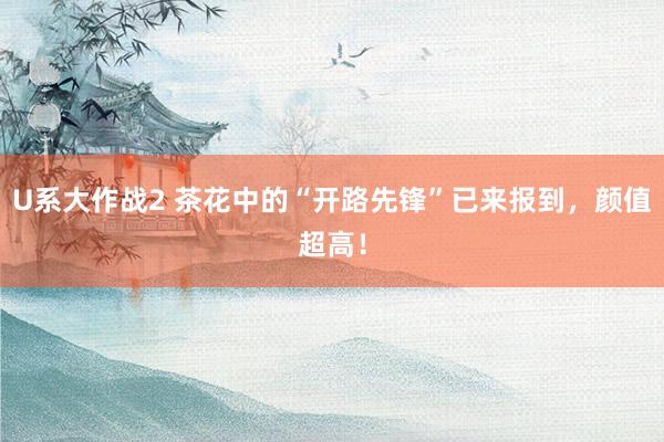 U系大作战2 茶花中的“开路先锋”已来报到，颜值超高！