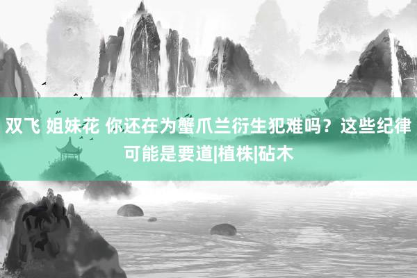 双飞 姐妹花 你还在为蟹爪兰衍生犯难吗？这些纪律可能是要道|植株|砧木