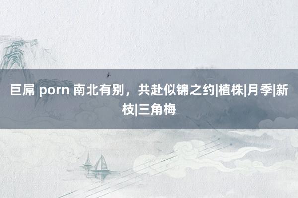 巨屌 porn 南北有别，共赴似锦之约|植株|月季|新枝|三角梅