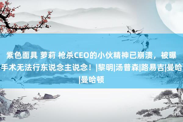 紫色面具 萝莉 枪杀CEO的小伙精神已崩溃，被曝因手术无法行东说念主说念！|黎明|汤普森|路易吉|曼哈顿