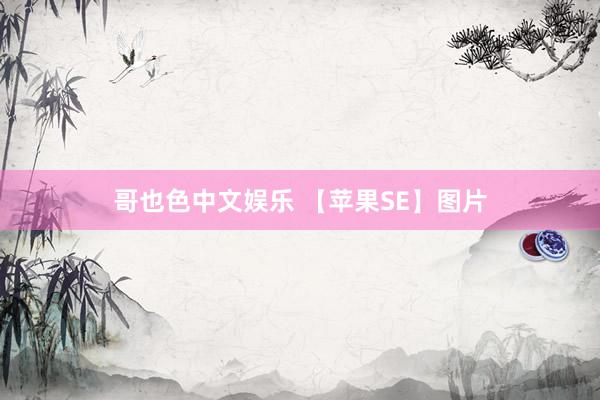 哥也色中文娱乐 【苹果SE】图片