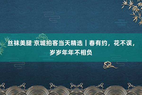 丝袜美腿 京城拍客当天精选｜春有约，花不误，岁岁年年不相负