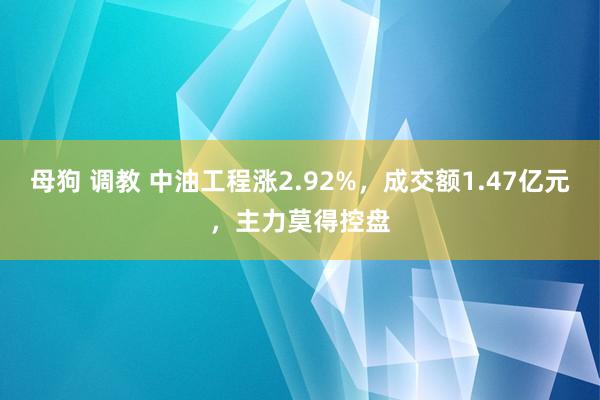 母狗 调教 中油工程涨2.92%，成交额1.47亿元，主力莫得控盘