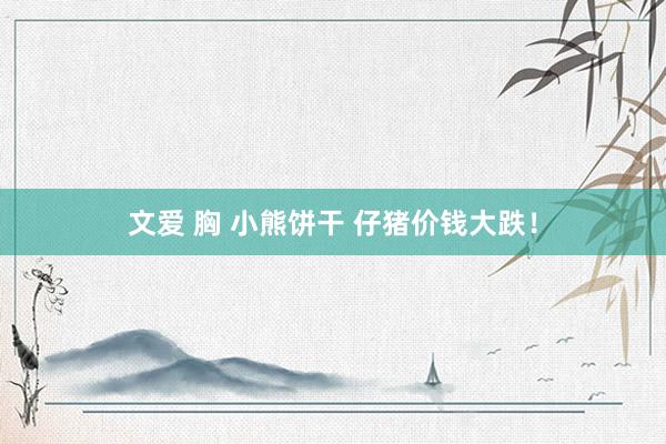 文爱 胸 小熊饼干 仔猪价钱大跌！