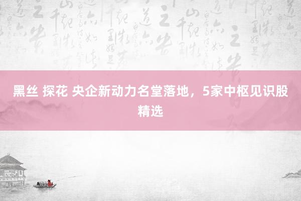 黑丝 探花 央企新动力名堂落地，5家中枢见识股精选