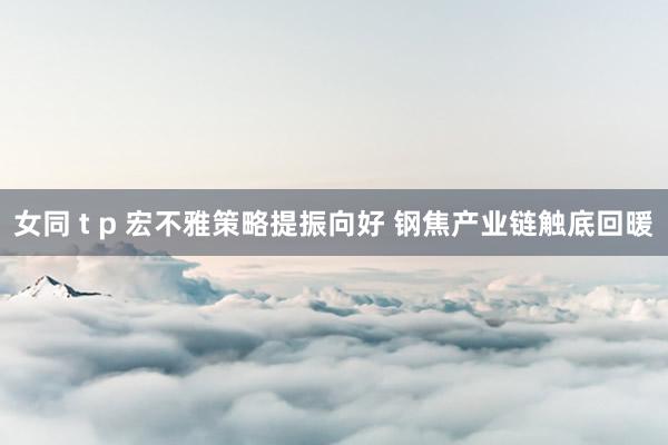 女同 t p 宏不雅策略提振向好 钢焦产业链触底回暖
