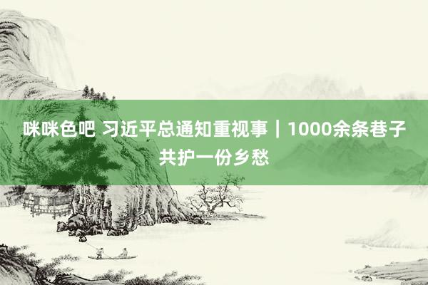 咪咪色吧 习近平总通知重视事｜1000余条巷子共护一份乡愁