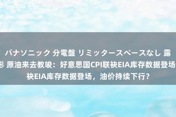 パナソニック 分電盤 リミッタースペースなし 露出・半埋込両用形 原油来去教唆：好意思国CPI联袂EIA库存数据登场，油价持续下行？